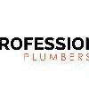 Professional Plumbers