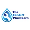The Cardiff Plumbers
