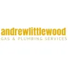 Andrew Littlewood