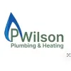 P Wilson Plumbing & Heating