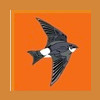 House Martin Heating